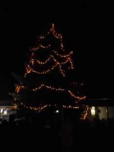 Rozsvícení vánočního stromku II